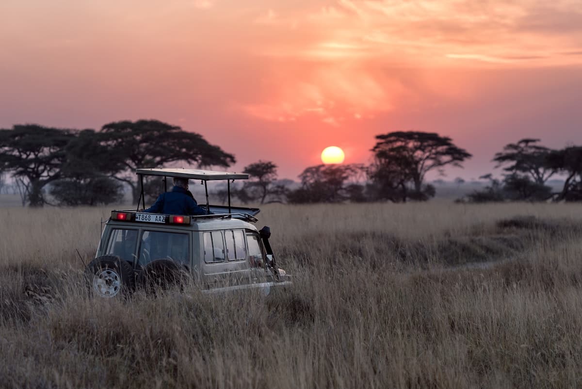 Swahili for Safari: Words and Phrases You'll Actually Use